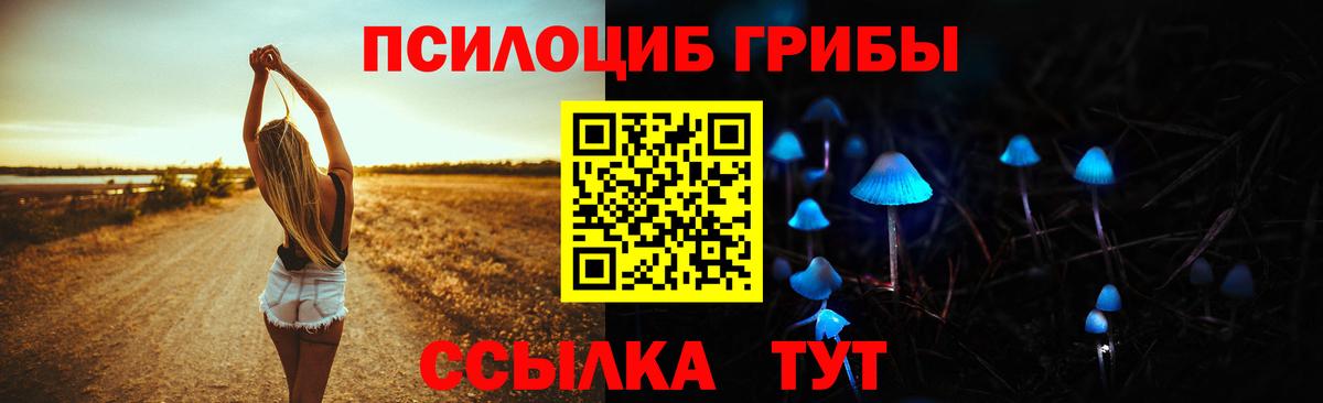 Галлюциногенные грибы Psilocybine cubensis Киров